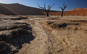 Hot desert sun rises over the iconic dead tree landscape of Deadvlei in Hot desert sun rises over the iconic dead tree landscape of Deadvlei in
