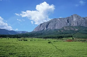 Huge Tea Plantation with Mountains in the Background Huge Tea Plantation with Mountains in the Background