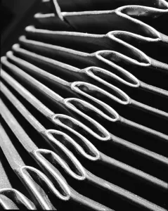 Old Camera Equipment Prints: Camera Bellows