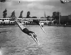 Pool Activities Prints: Diving