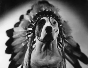 Vintage Animal Photos Prints: Injun Pete