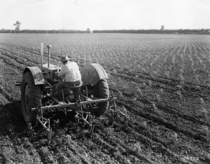 Kansas Fields Print: Farmer Ploughing in 1960