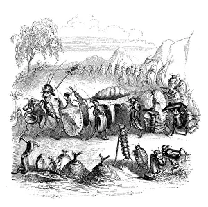Humanized Animal Illustrations Prints: Humanized animals illustrations: Bugs procession