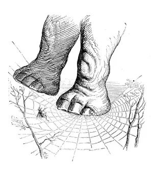 Humanized Elephant in Delicate Spiderweb Print