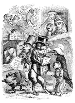 Fine Art Animal Illustrations Prints: Humanized animals illustrations: Flyering