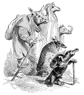Fantasy Creature Illustrations Prints: Humanized animals illustrations: Group