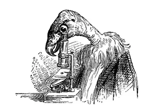 Grandville Style Artwork Prints: Humanized animals illustrations: Vulture with microscope