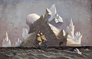Vintage Sailing Ship Prints: Icebergs