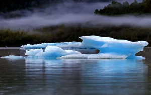Icebergs having broken away from the Mendenhall glacier are floating toward the sea Icebergs having broken away from the Mendenhall glacier are floating toward the sea