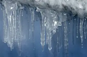 Cold Temperature Photography Prints: Icicles