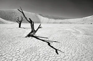 The iconic dead acacia trees of Deadvlei in Namibia photographed in Infrared The iconic dead acacia trees of Deadvlei in Namibia photographed in Infrared