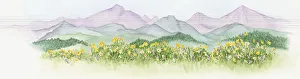 Illustration of abundance of wildflowers growing on lush North American prairie with Illustration of abundance of wildflowers growing on lush North American prairie with