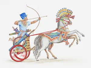 Illustration of ancient Egyptian archer on chariot Illustration of ancient Egyptian archer on chariot