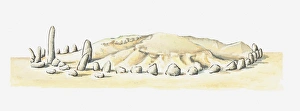 Illustration of ancient stone circle and tumulus at Msoura, Morocco Illustration of ancient stone circle and tumulus at Msoura, Morocco