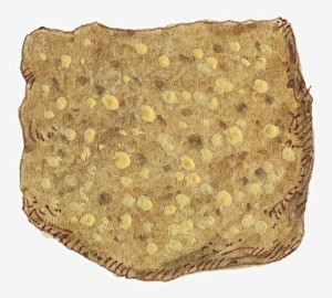 Illustration of andesite, a volcanic rock Illustration of andesite, a volcanic rock