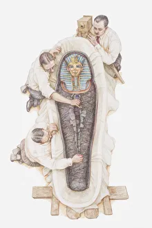 Illustration of archaeologists opening sarcophagus of Tutankhamun Illustration of archaeologists opening sarcophagus of Tutankhamun