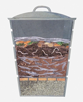 Illustration of a compost bin, cross section Illustration of a compost bin, cross section