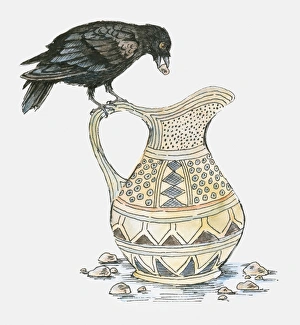 Illustration of crow perching on edge of jug with stone in beak Illustration of crow perching on edge of jug with stone in beak