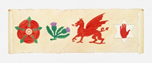 Illustration of English Rose, Scottish Thistle, Welsh Dragon and Irish Red Hand on scroll Illustration of English Rose, Scottish Thistle, Welsh Dragon and Irish Red Hand on scroll