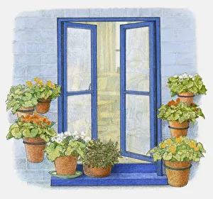 Illustration of flower pots on windowsill and in metal hoops on wall outside window Illustration of flower pots on windowsill and in metal hoops on wall outside window