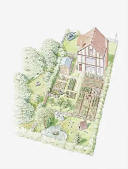 Illustration of a garden farm, showing land being used for fruit, vegetables and livestock Illustration of a garden farm, showing land being used for fruit, vegetables and livestock