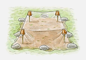 Illustration of hanging lightweight netting above newly sown grass to prevent birds Illustration of hanging lightweight netting above newly sown grass to prevent birds