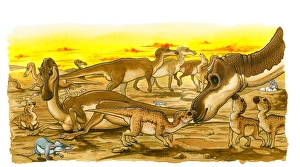 Illustration of herd of adult and young Hypsilophodon dinosaurs, with prehistoric rats scavenging for eggs on ground Illustration of herd of adult and young Hypsilophodon dinosaurs, with prehistoric rats scavenging for eggs on ground
