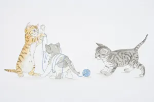 Illustration, three kittens playing with ball of wool, kitten to left holding up thread Illustration, three kittens playing with ball of wool, kitten to left holding up thread