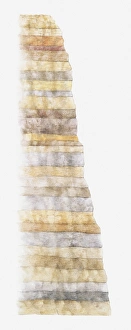 Illustration of layers of Earth showing age from devonian, carboniferous, permian Illustration of layers of Earth showing age from devonian, carboniferous, permian