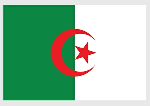 Illustration of national flag of Algeria, with two equal green and white vertical bands Illustration of national flag of Algeria, with two equal green and white vertical bands