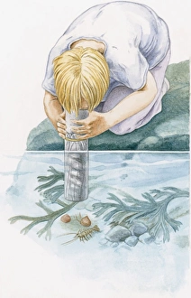 Illustration of of boy kneeling on rock looking through underwater viewer at shrimp Illustration of of boy kneeling on rock looking through underwater viewer at shrimp