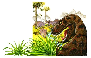 Illustration of predatory Tyrannosaurus Rex looking aggressively at herd of herbivorous Illustration of predatory Tyrannosaurus Rex looking aggressively at herd of herbivorous