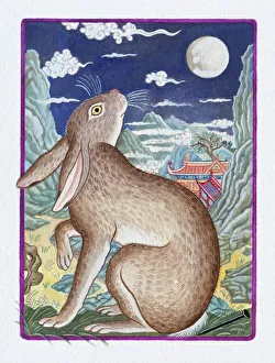 Illustration of Rabbit Looking at the Moon, representing Chinese Year Of The Rabbit Illustration of Rabbit Looking at the Moon, representing Chinese Year Of The Rabbit