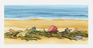 Illustration of rubbish washed up on beach with seaweed Illustration of rubbish washed up on beach with seaweed