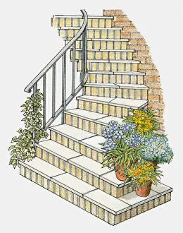 Illustration of steps decorated with flower pots and ivy growing on handrail Illustration of steps decorated with flower pots and ivy growing on handrail