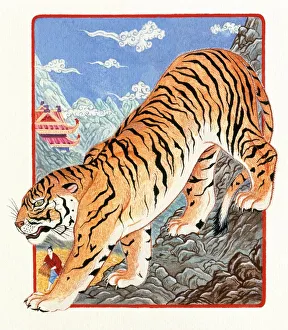 Illustration of Tiger Going Down The Mountain, representing Chinese Year Of The Tiger Illustration of Tiger Going Down The Mountain, representing Chinese Year Of The Tiger