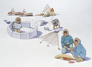 Illustration of traditional Inuit hunting methods and constructing igloo contrasting with Illustration of traditional Inuit hunting methods and constructing igloo contrasting with