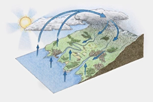 Illustration of water cycle from mountain to ocean Illustration of water cycle from mountain to ocean
