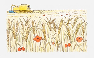 Illustration of wheat field with harvester in background Illustration of wheat field with harvester in background