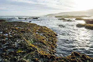 Marine Protected Area Prints: Intertidal zone impacted upon by wave action
