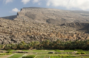 Irrigated vegetable gardens at the foot of the barren Al Hajar Mountains in Wadi Ghul Irrigated vegetable gardens at the foot of the barren Al Hajar Mountains in Wadi Ghul
