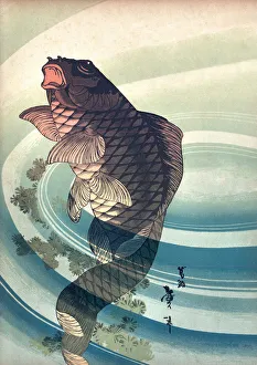 Magical world illustration/japanese art illustrations/japanese art koi carp 19th century Magical world illustration/japanese art illustrations/japanese art koi carp 19th century