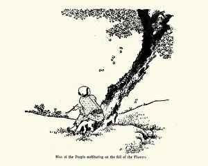 Japanese man watching blossom fall from a tree Japanese man watching blossom fall from a tree