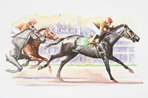 Jockeys riding in horse race, spectators in background, side view Jockeys riding in horse race, spectators in background, side view