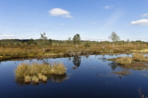 Kendlmuehlfilzen nature reserve, also known as Kendlmuehlfilzn or Kendlmuehlfilz nature Kendlmuehlfilzen nature reserve, also known as Kendlmuehlfilzn or Kendlmuehlfilz nature