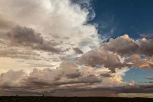 The Kgalagadi Transfrontier Park lies in a large sand-filled basin in the west of the The Kgalagadi Transfrontier Park lies in a large sand-filled basin in the west of the