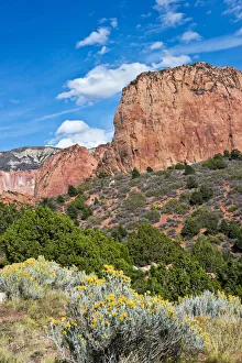 Kolob Canyon, Zion National Park, Utah, USA Kolob Canyon, Zion National Park, Utah, USA