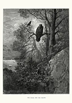 La Fontaine's Fables - Eagle and the Magpie La Fontaine's Fables - Eagle and the Magpie