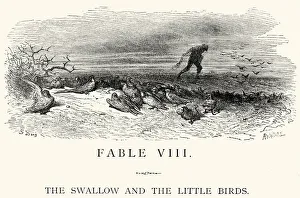 La Fontaine's Fables - Swallow and the Little Birds La Fontaine's Fables - Swallow and the Little Birds