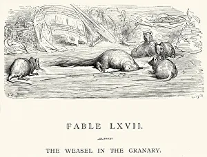 La Fontaine's Fables - Weasel in the Granary La Fontaine's Fables - Weasel in the Granary